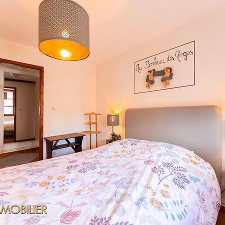 Au Bonheur Des Anges Appartement 2 Chambres Avec Terrasse Κολμάρ Εξωτερικό φωτογραφία